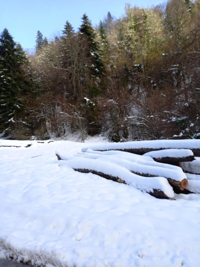 Appartement 2 A 4 Personnes Le Pyreneen A Arreau Carrefour Des Activites De Montagne ภายนอก รูปภาพ